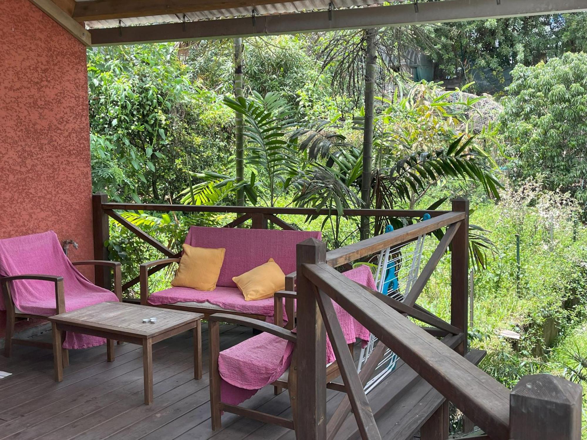 La Bananeraie Apt 35M2 Piscine Jardin Tropical Parking Prive Saint-Leu Exterior photo