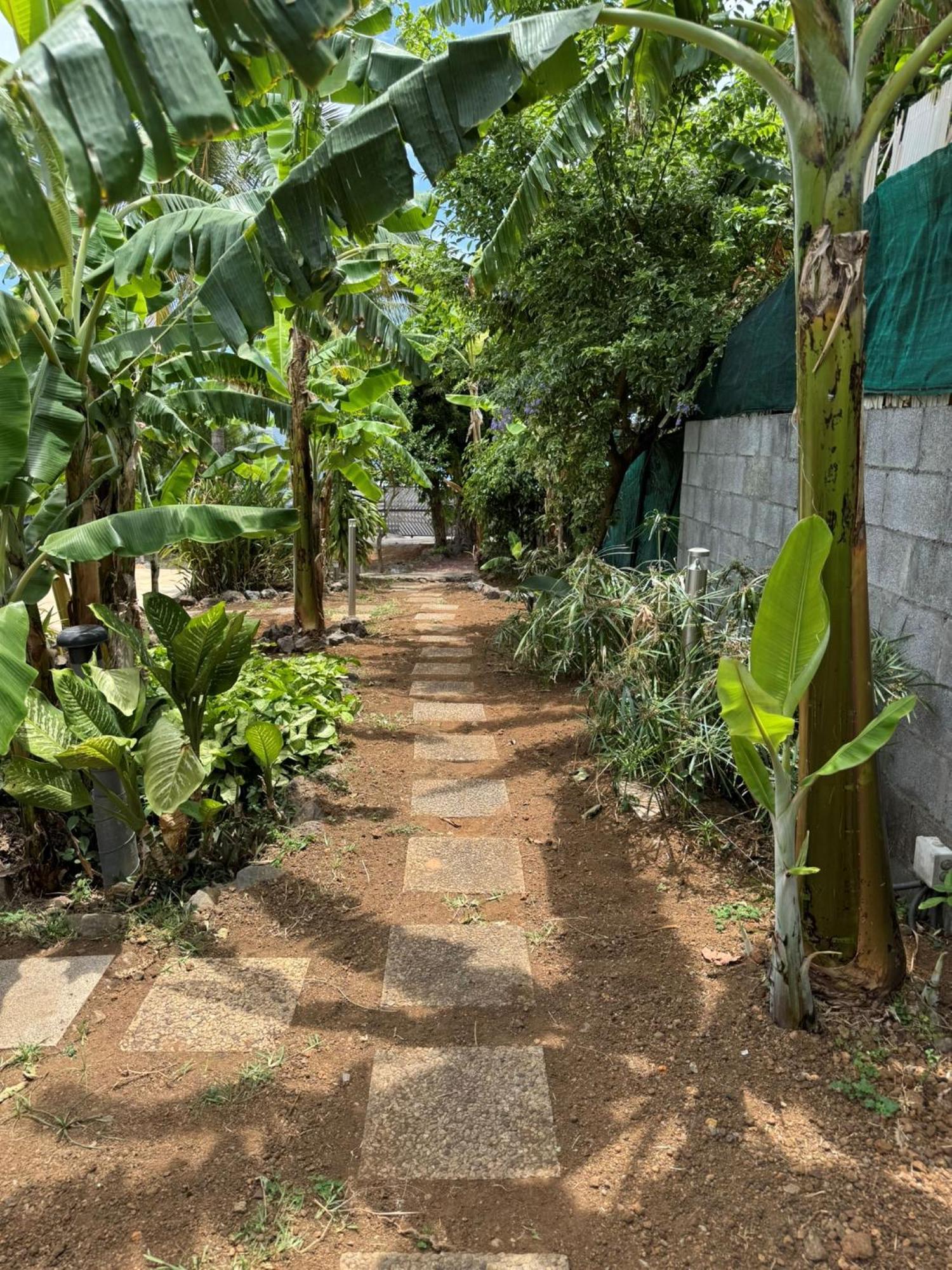 La Bananeraie Apt 35M2 Piscine Jardin Tropical Parking Prive Saint-Leu Exterior photo