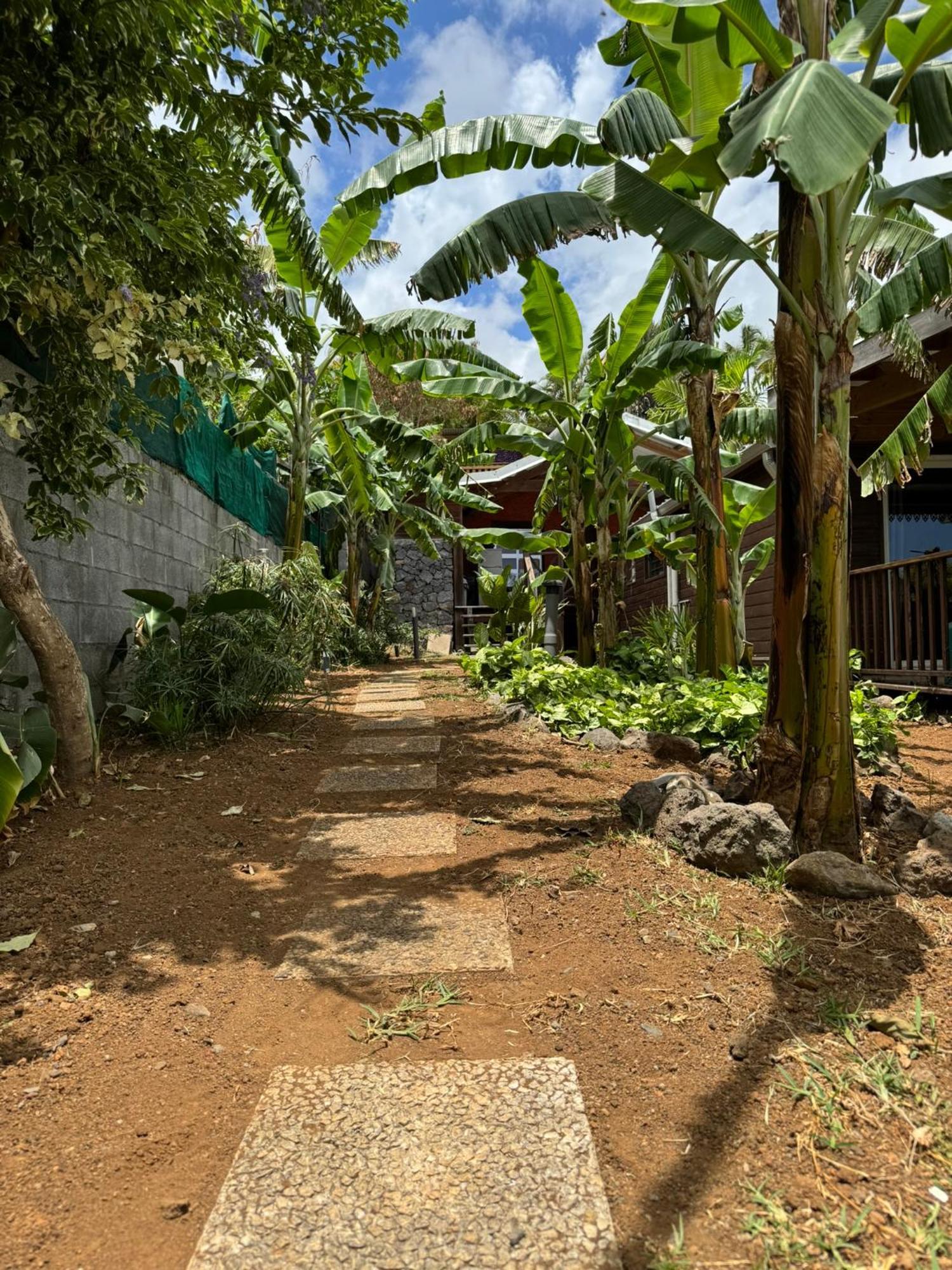 La Bananeraie Apt 35M2 Piscine Jardin Tropical Parking Prive Saint-Leu Exterior photo